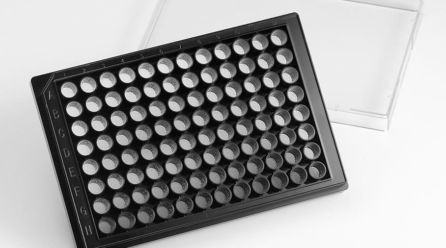 Corning Elplasia