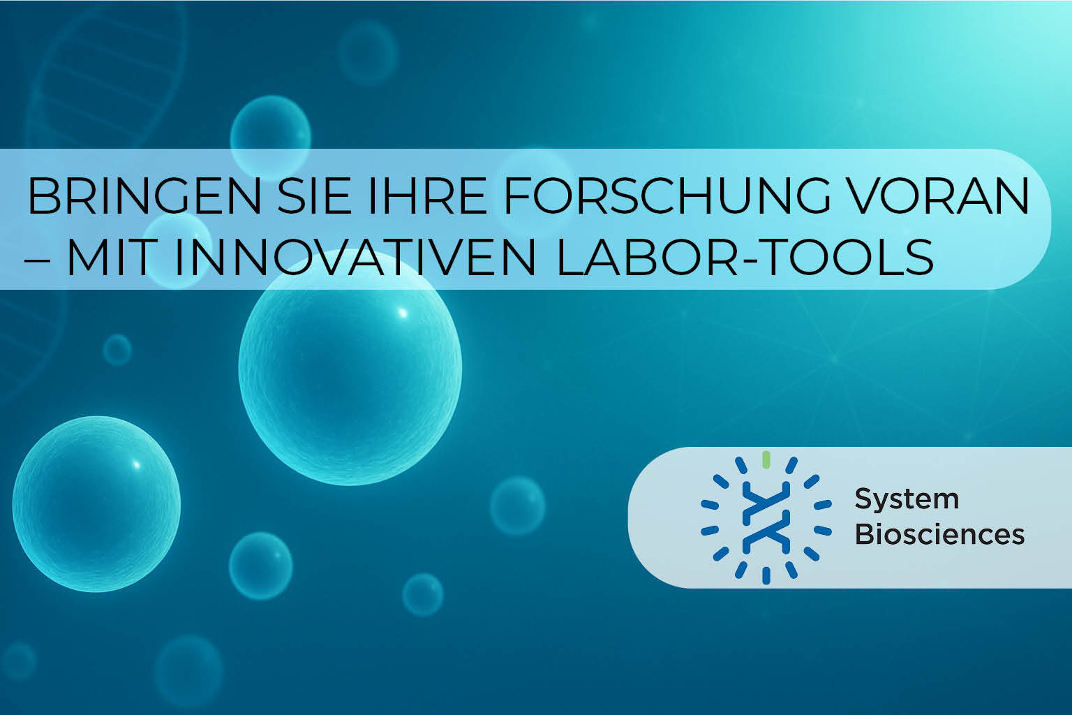 Header Landing Page 13JAN2026 Header Landing Page 13JAN2026