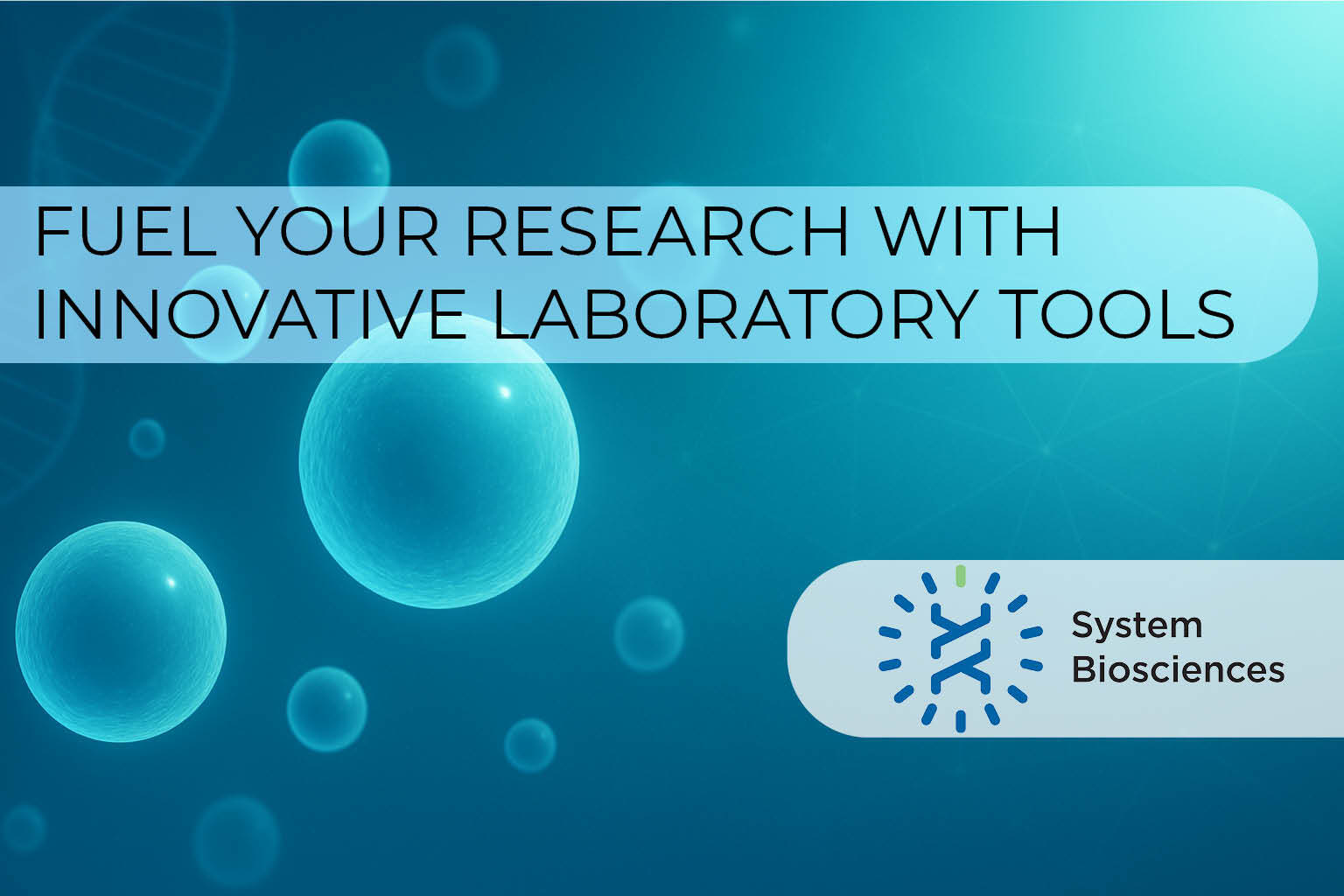 Header Landing Page 25NOV2025-1