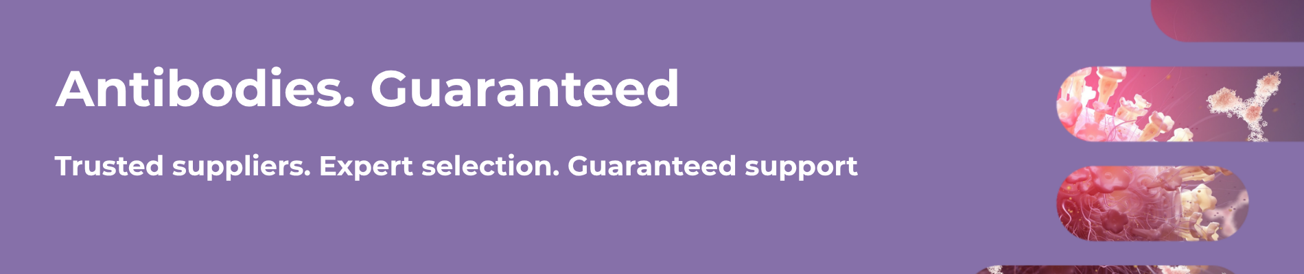 Antibodies. Guaranteed.